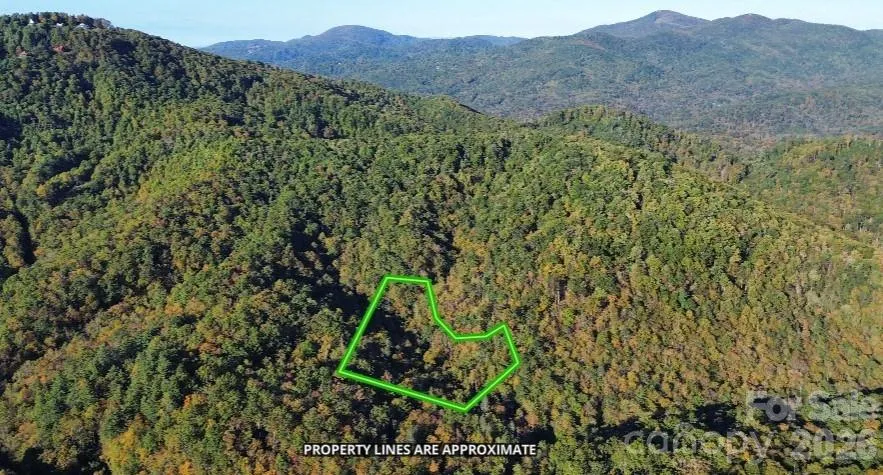 14 Johnny Farm Road Black Mountain, NC 28711