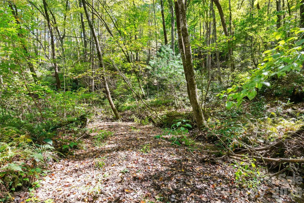 14 Johnny Farm Road Black Mountain, NC 28711