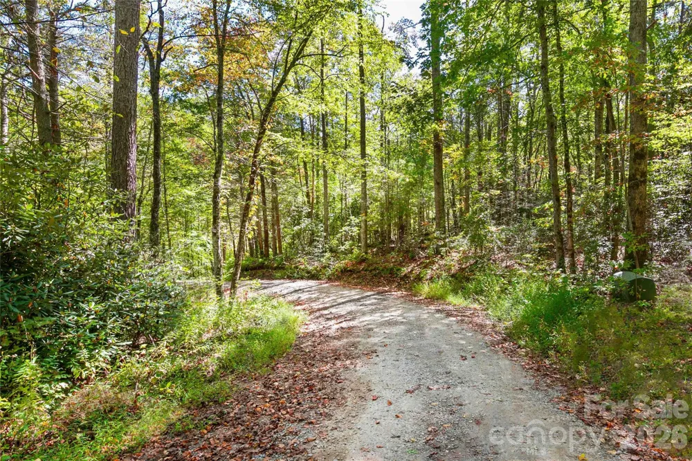 14 Johnny Farm Road Black Mountain, NC 28711