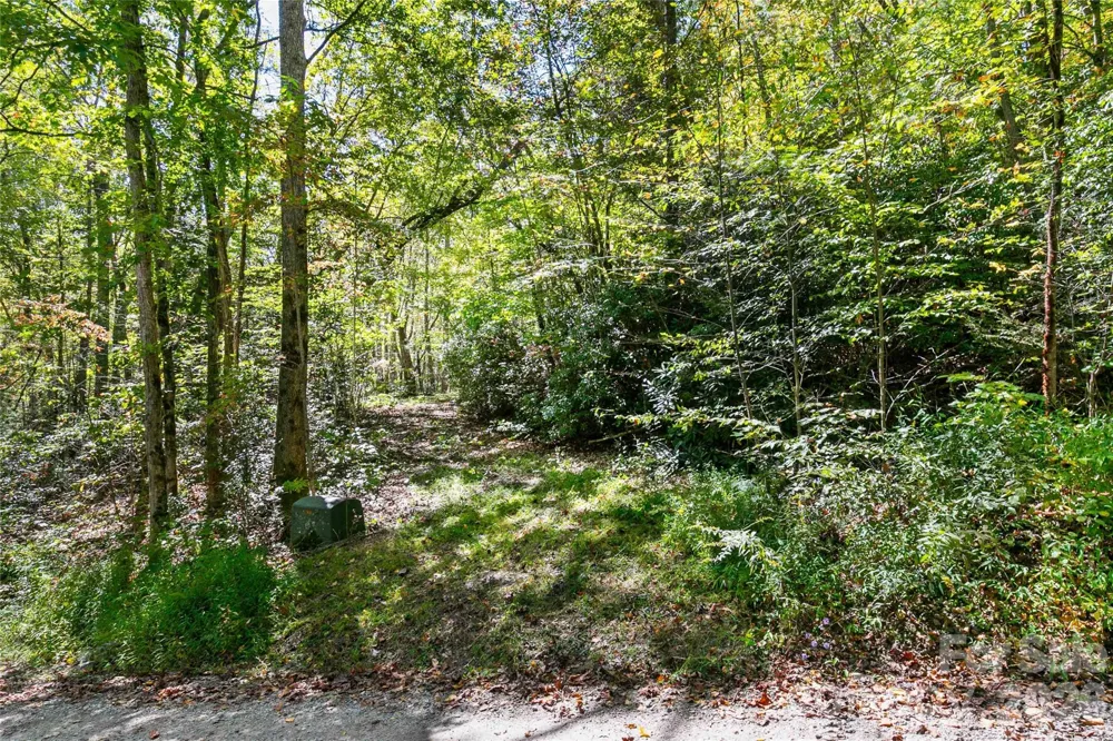14 Johnny Farm Road Black Mountain, NC 28711