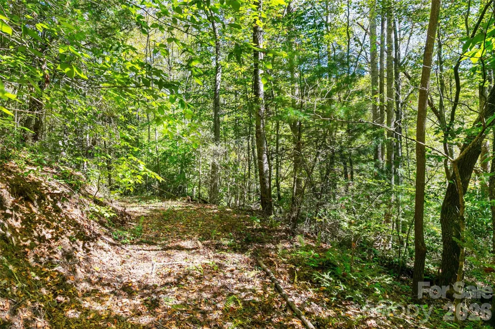 14 Johnny Farm Road Black Mountain, NC 28711