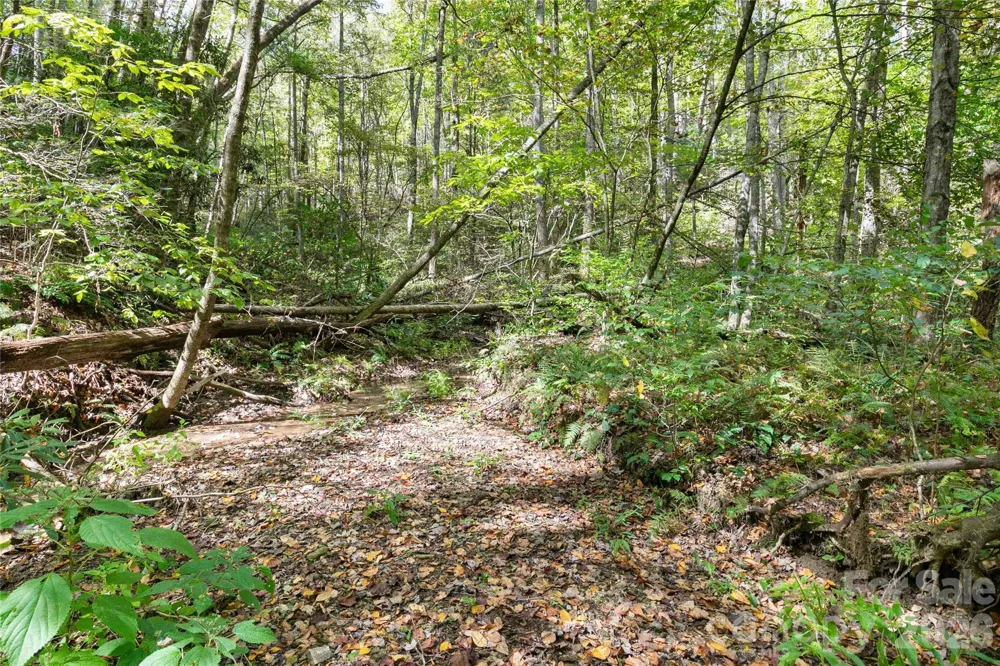 14 Johnny Farm Road Black Mountain, NC 28711