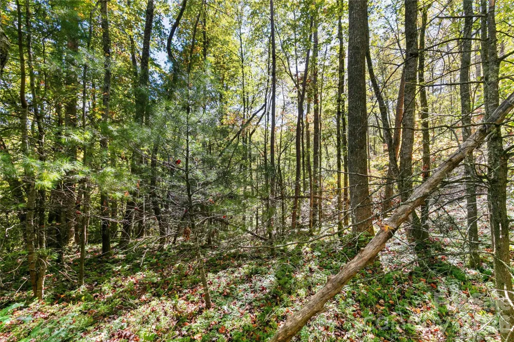 14 Johnny Farm Road Black Mountain, NC 28711