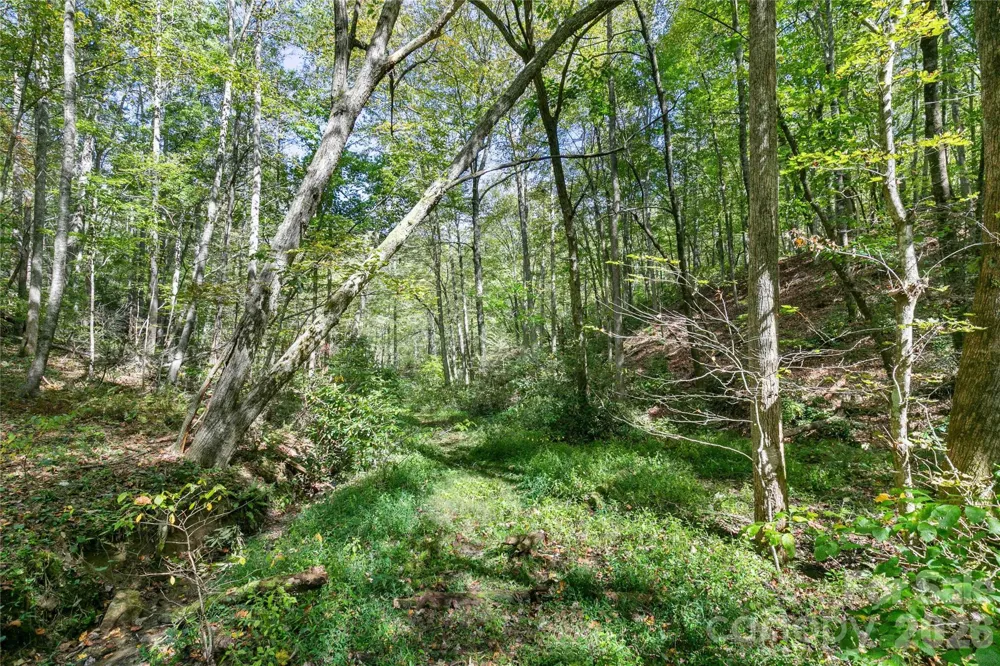 14 Johnny Farm Road Black Mountain, NC 28711