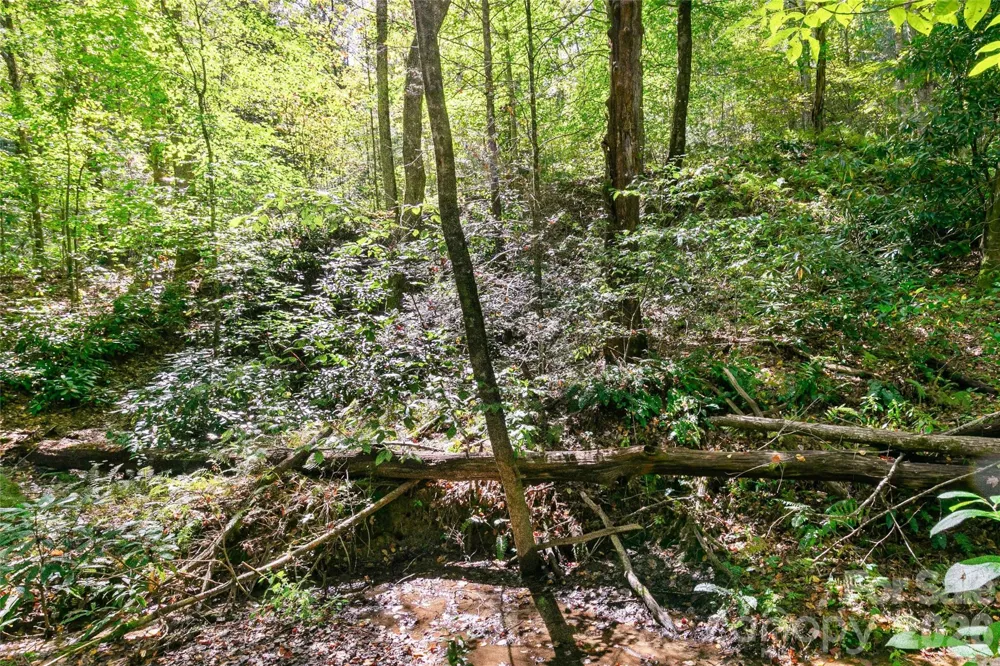 14 Johnny Farm Road Black Mountain, NC 28711