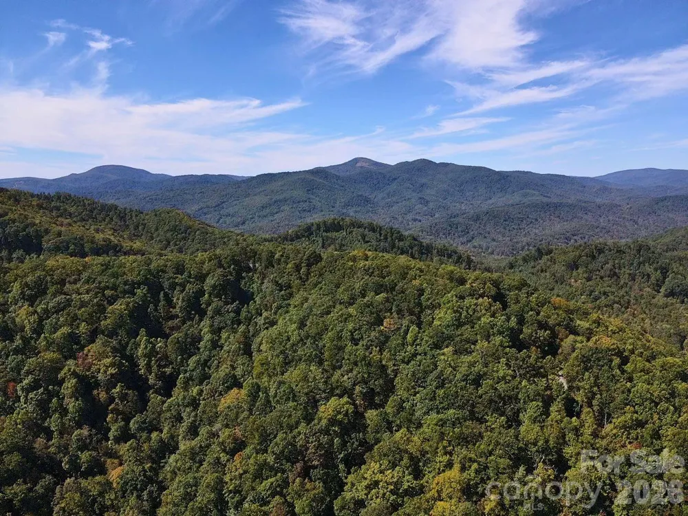 14 Johnny Farm Road Black Mountain, NC 28711