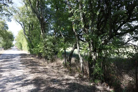 County Road 2005