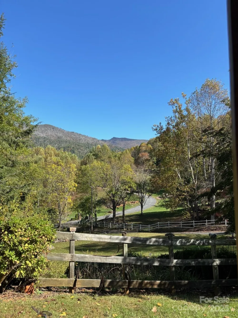 408 Dora Lane Bakersville, NC 28705
