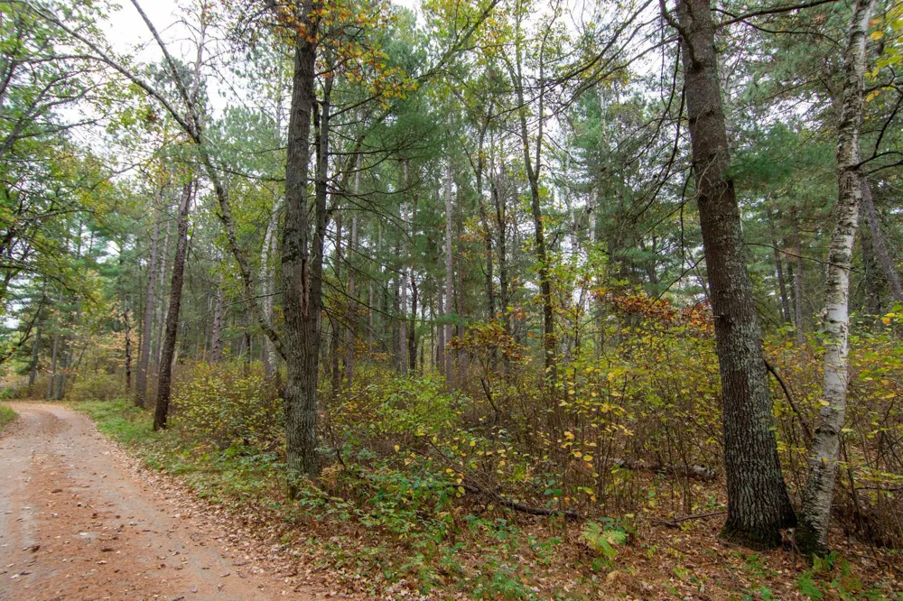 TBD Harriet Lake Trail NW Backus, MN 56435