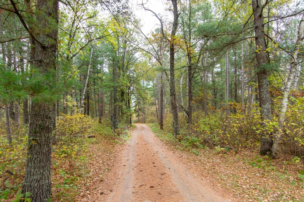 TBD Harriet Lake Trail NW Backus, MN 56435