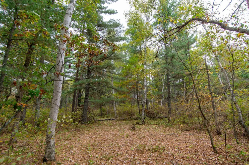 TBD Harriet Lake Trail NW Backus, MN 56435
