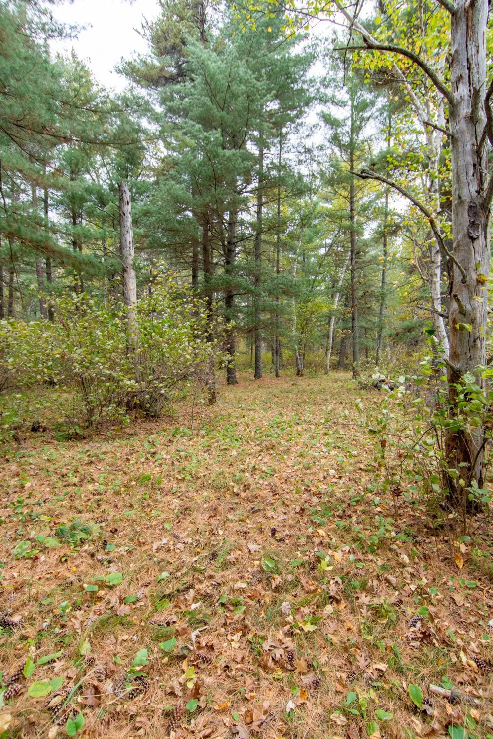 TBD Harriet Lake Trail NW Backus, MN 56435