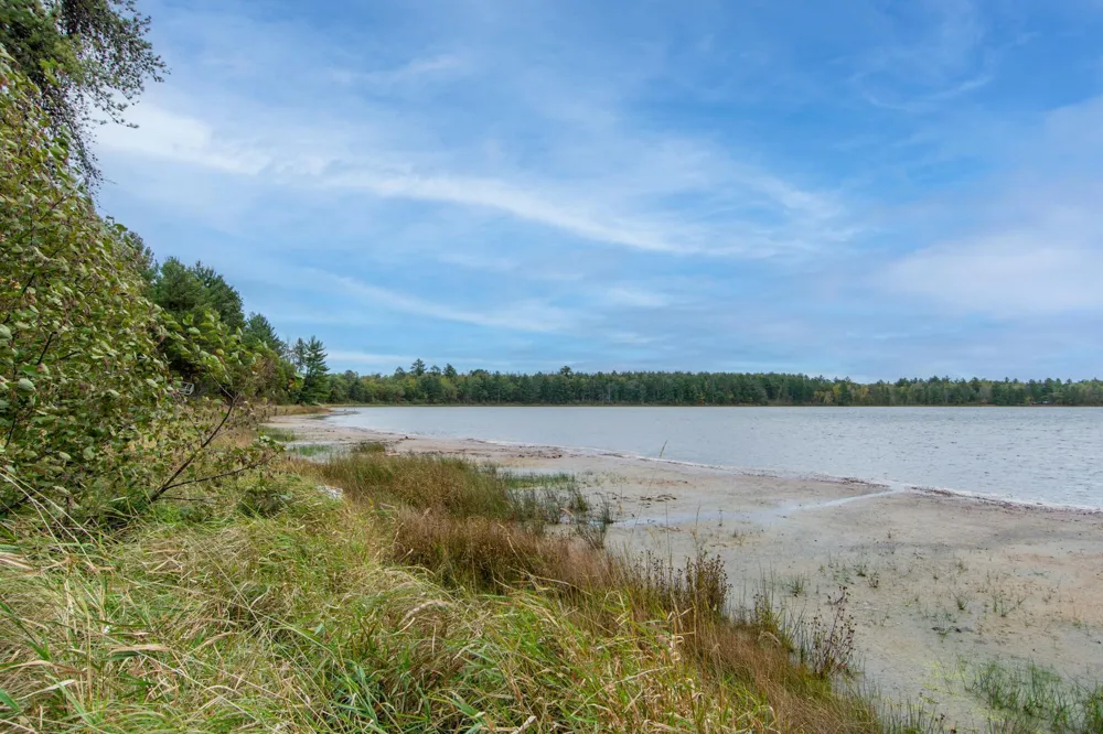 TBD Harriet Lake Trail NW Backus, MN 56435