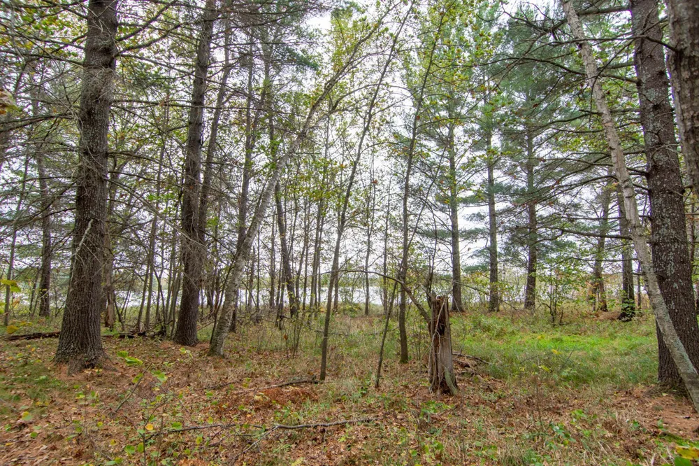TBD Harriet Lake Trail NW Backus, MN 56435