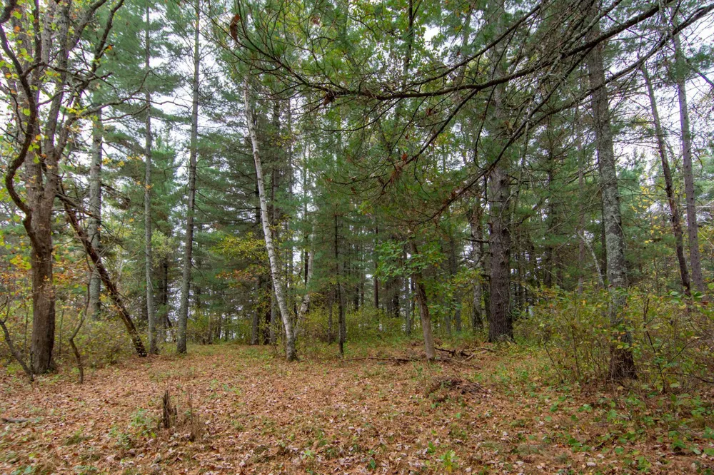 TBD Harriet Lake Trail NW Backus, MN 56435