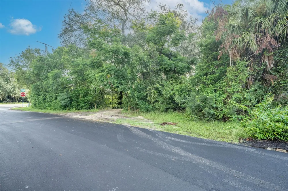 2163 VAN ORMAN DRIVE Deltona, FL 32725