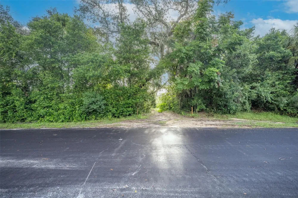 2163 VAN ORMAN DRIVE Deltona, FL 32725
