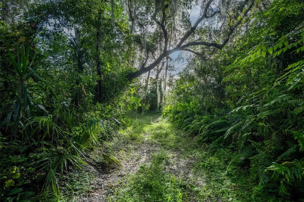 2163 VAN ORMAN DRIVE Deltona, FL 32725