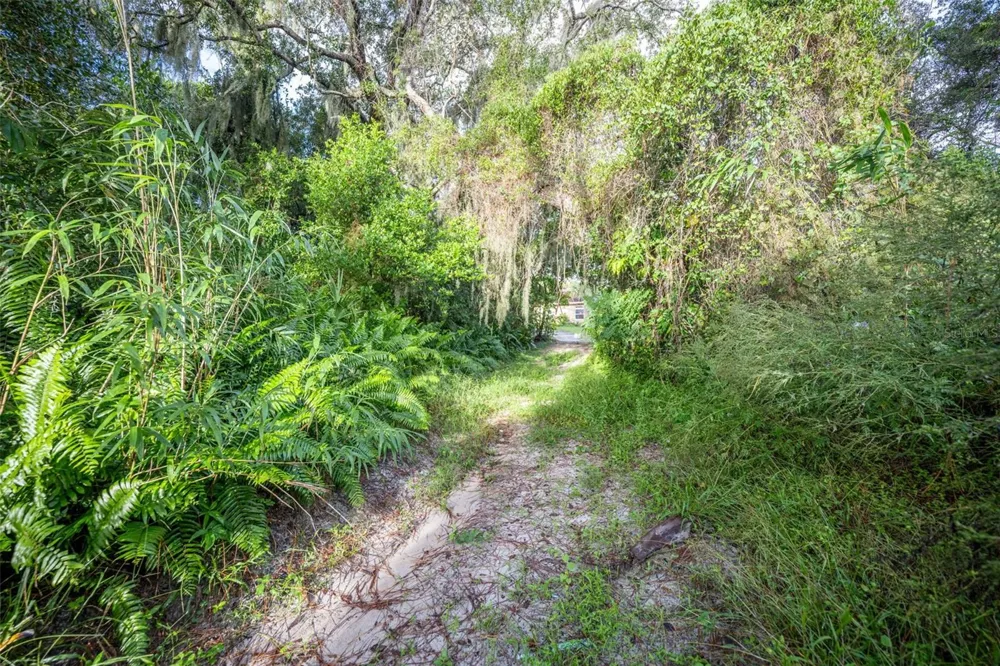 2163 VAN ORMAN DRIVE Deltona, FL 32725