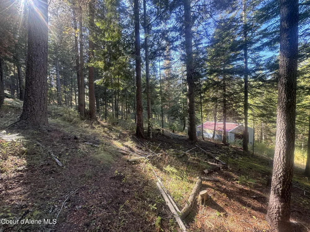 94 Lochsa Lane Kingston, ID 83839