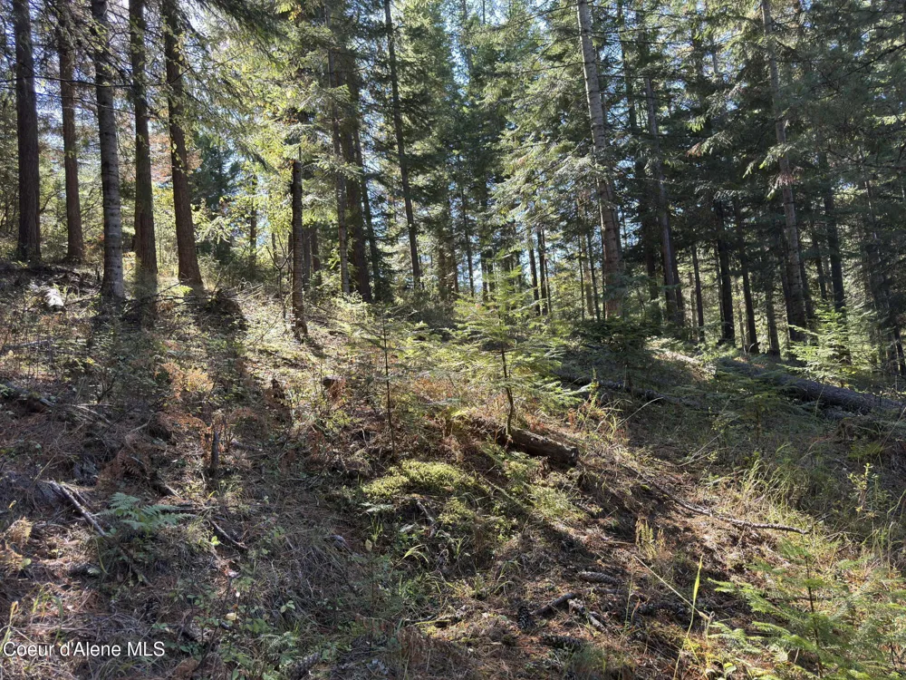 94 Lochsa Lane Kingston, ID 83839