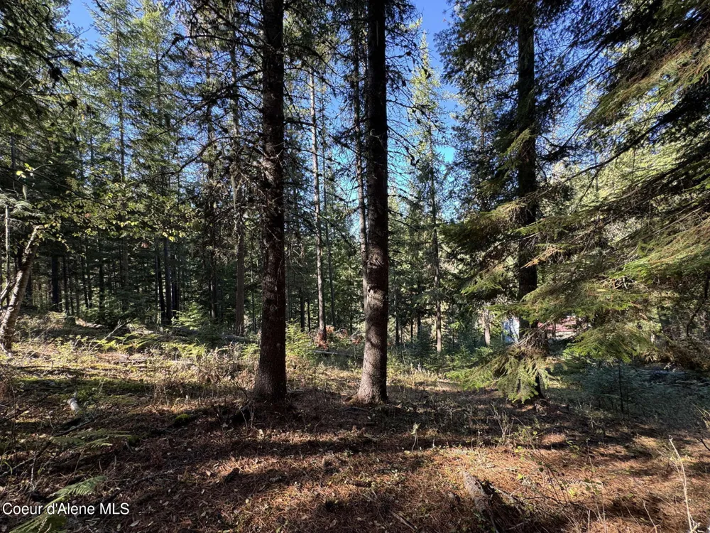 94 Lochsa Lane Kingston, ID 83839