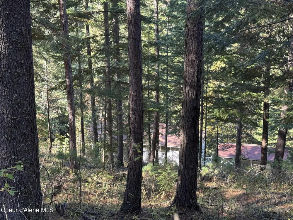 94 Lochsa Lane Kingston, ID 83839