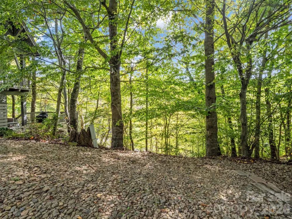 6 Whitman Lane Black Mountain, NC 28711