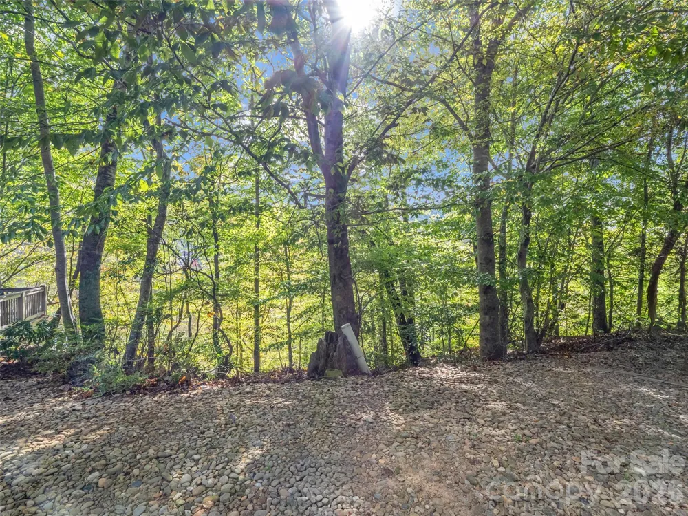6 Whitman Lane Black Mountain, NC 28711