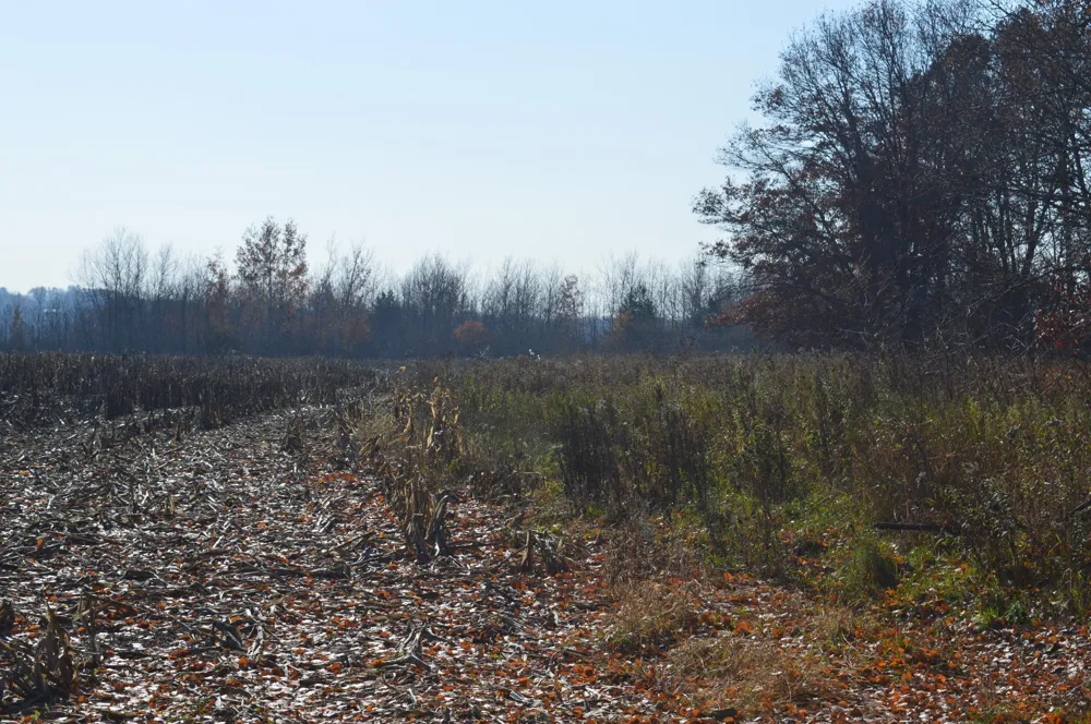TBD Lot G Mayhew Lake Road Sauk Rapids, MN 56379
