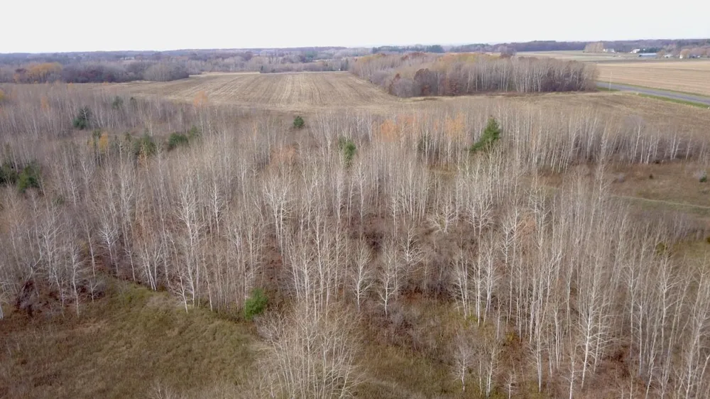 TBD Lot G Mayhew Lake Road Sauk Rapids, MN 56379