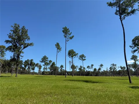 DR #5 (24ac) NW 193RD ST
