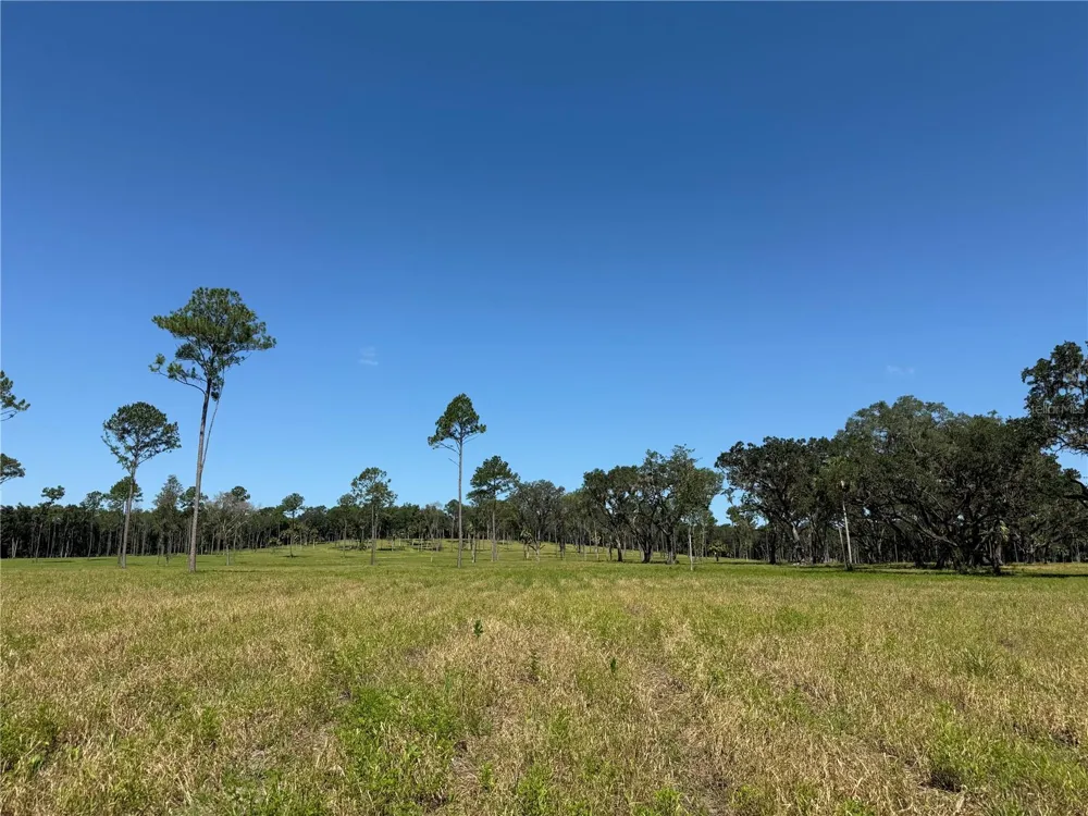DR #5 (24ac) NW 193RD ST Micanopy, FL 32667