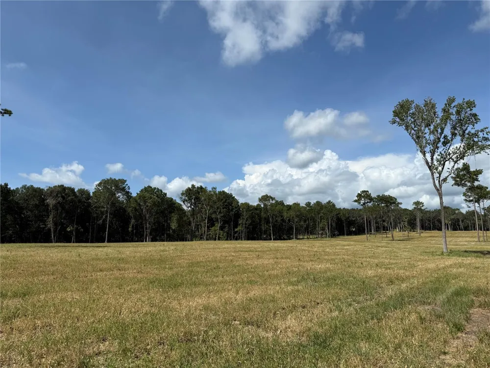 DR #5 (24ac) NW 193RD ST Micanopy, FL 32667
