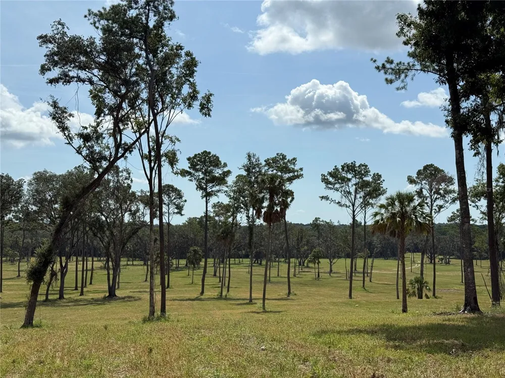 DR #5 (24ac) NW 193RD ST Micanopy, FL 32667