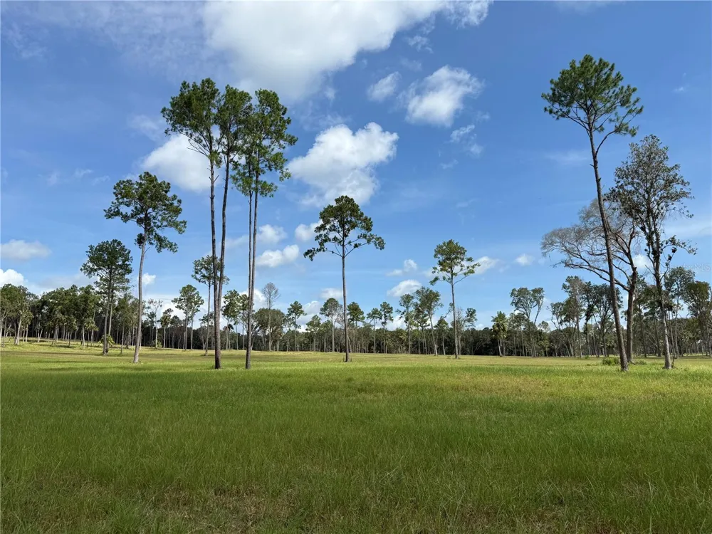 DR #5 (24ac) NW 193RD ST Micanopy, FL 32667
