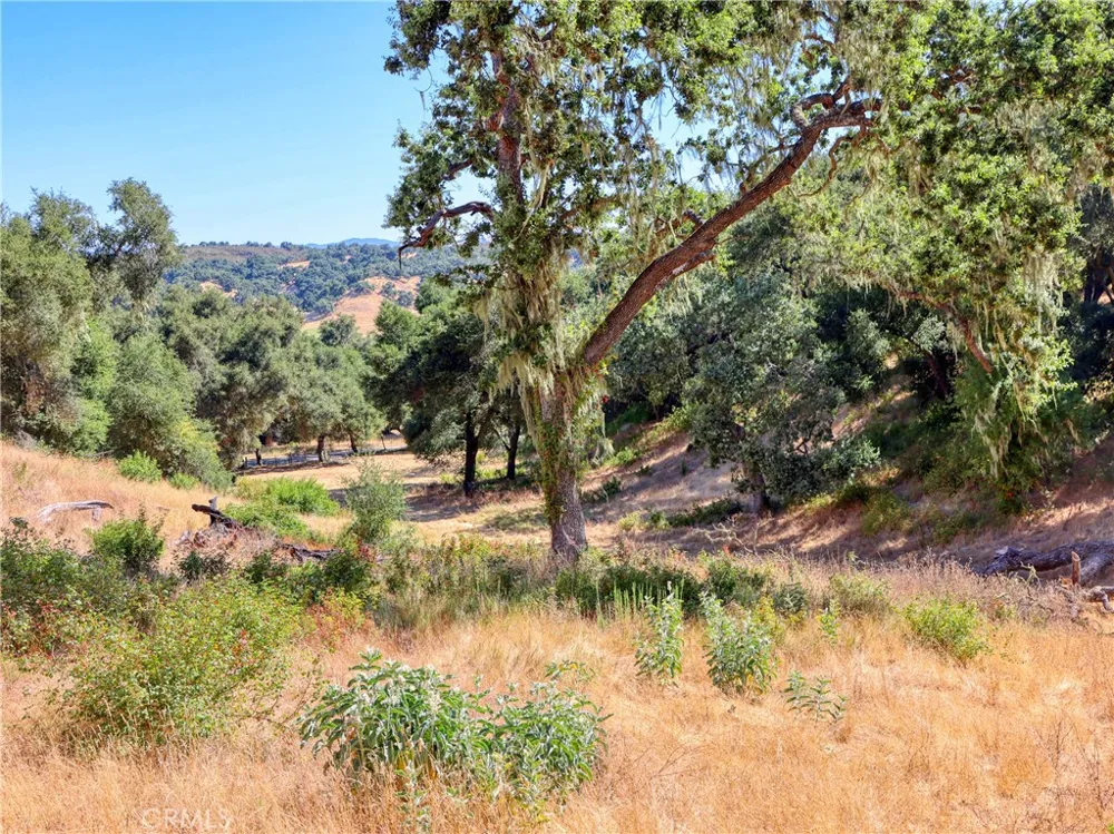 Huasna Road Arroyo Grande, CA 93420