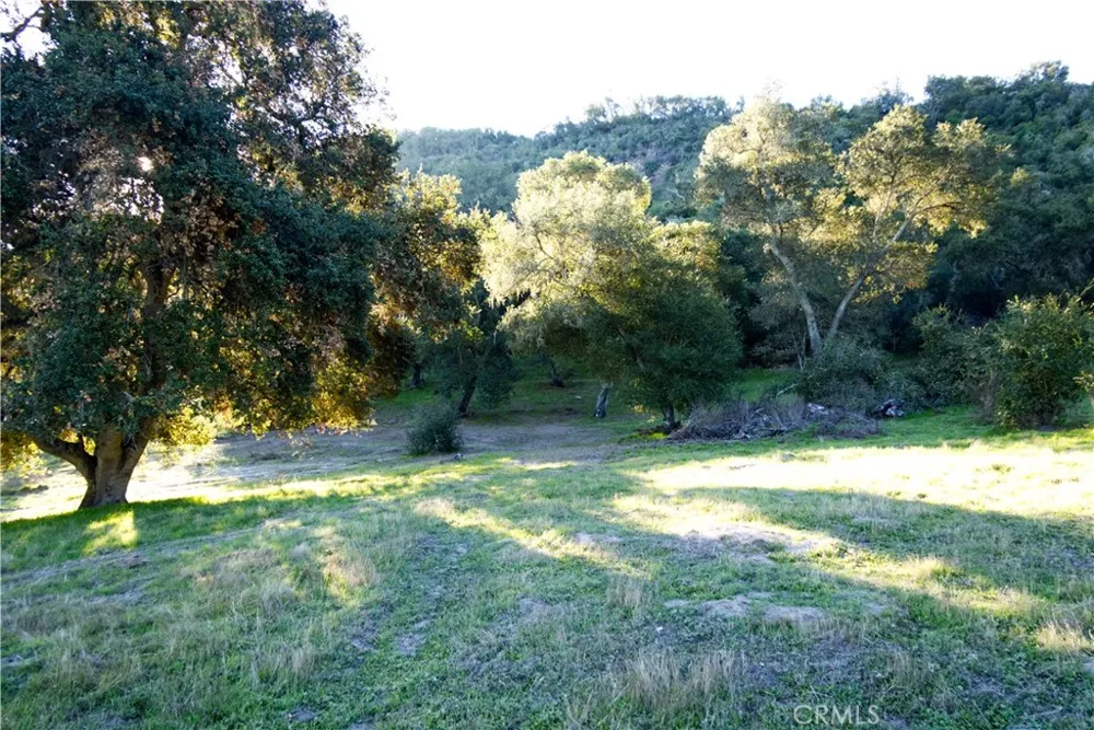 Huasna Road Arroyo Grande, CA 93420