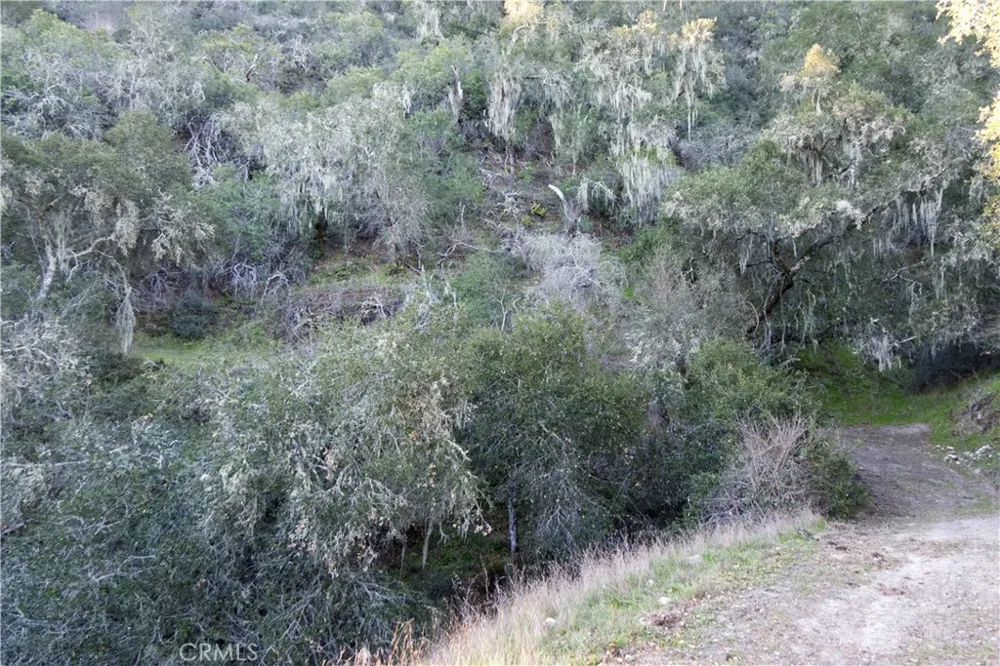 Huasna Road Arroyo Grande, CA 93420