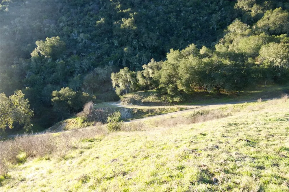 Huasna Road Arroyo Grande, CA 93420