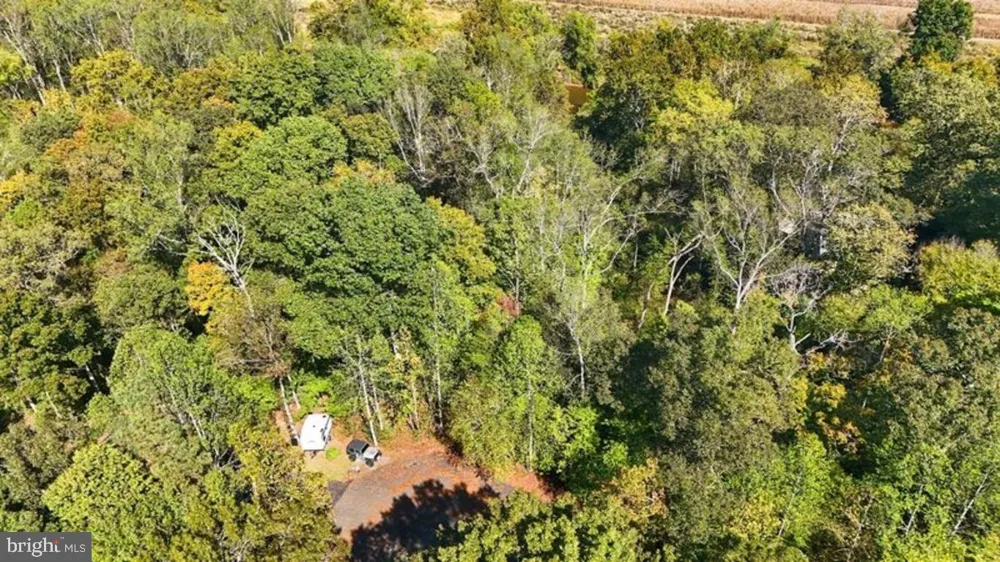 14 MECHUNK TERRACE Palmyra, VA 22963