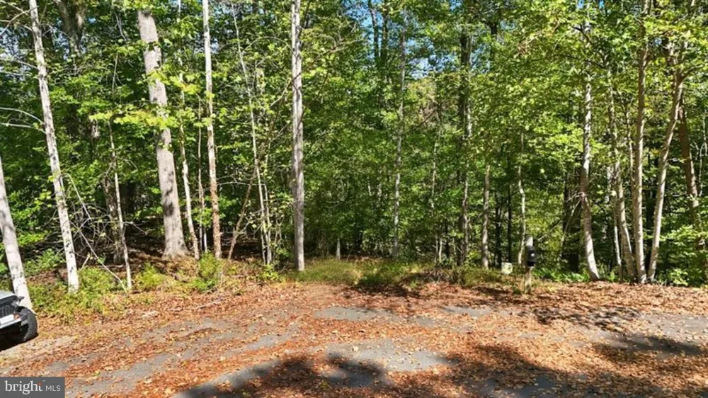 14 MECHUNK TERRACE Palmyra, VA 22963