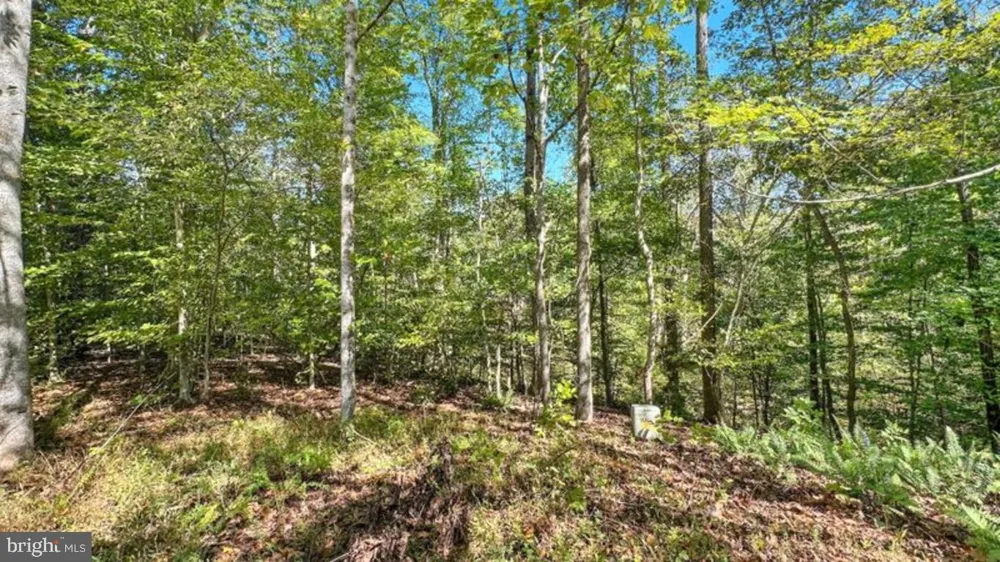 14 MECHUNK TERRACE Palmyra, VA 22963
