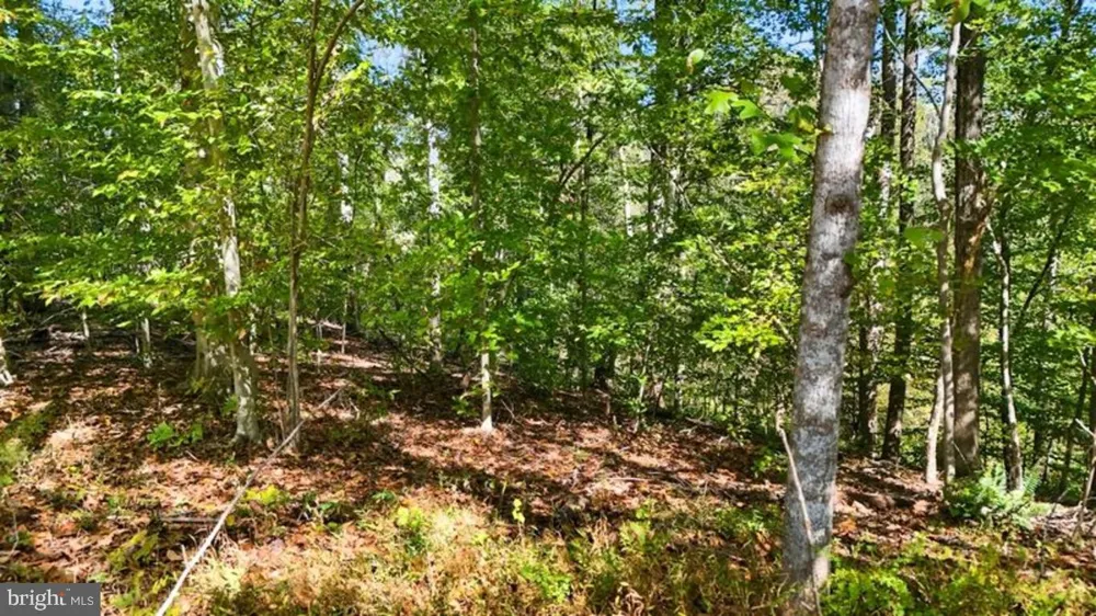 14 MECHUNK TERRACE Palmyra, VA 22963