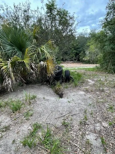 2908 CLEBURNE ROAD Orlando, FL 32817