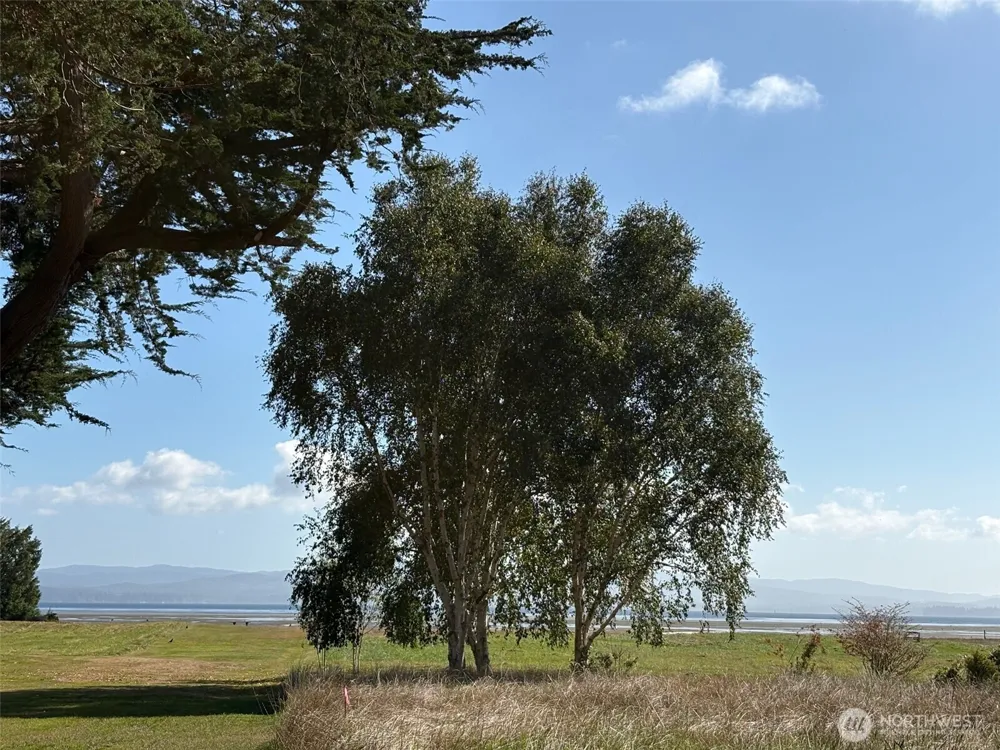 33880 Territory Road Oysterville, WA 98640