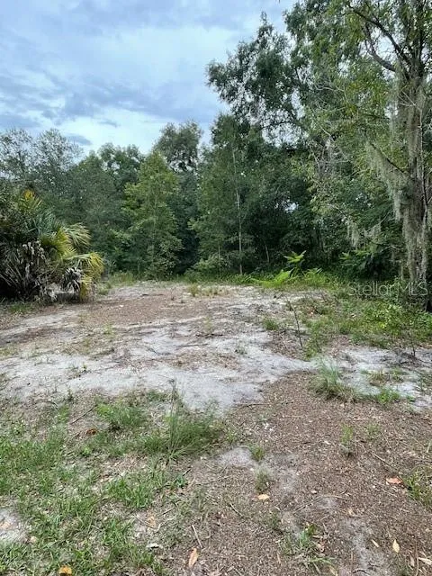 2850 CLEBURNE ROAD Orlando, FL 32817