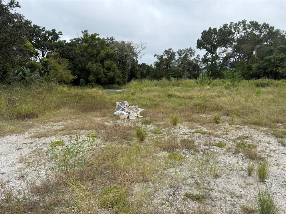 145 W COUNTRY CLUB DRIVE Tampa, FL 33612