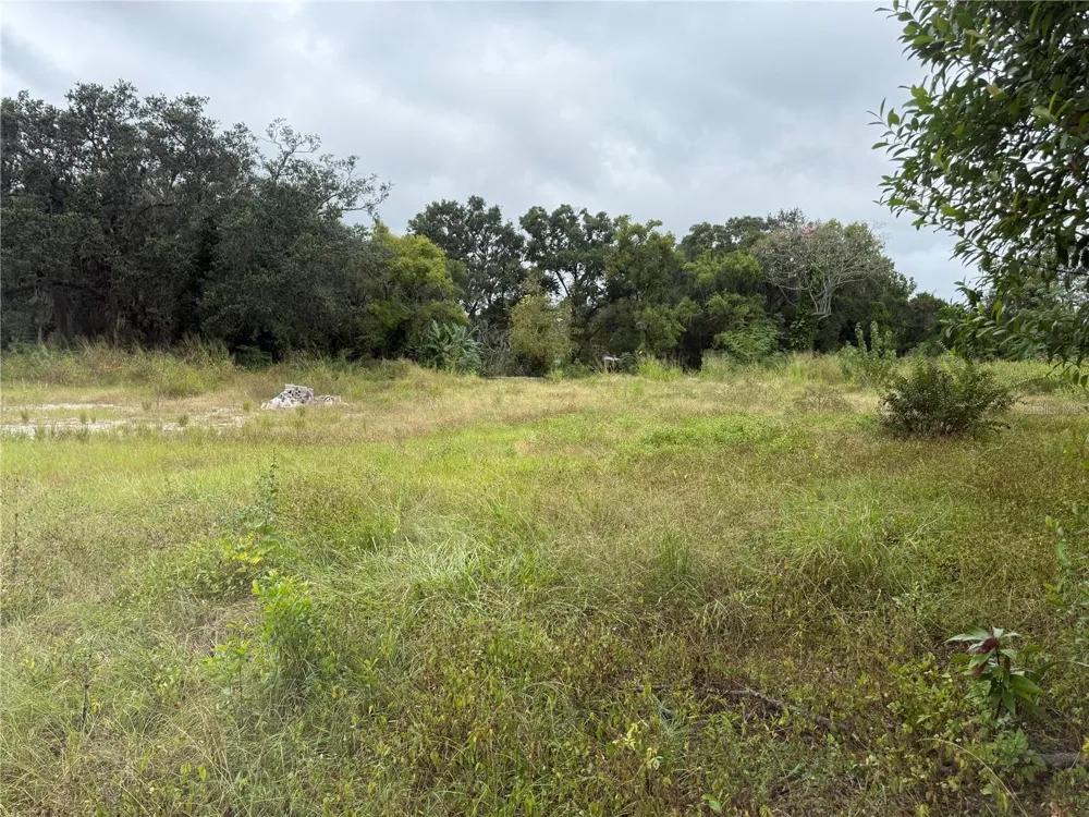 145 W COUNTRY CLUB DRIVE Tampa, FL 33612