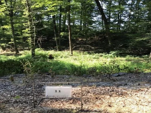 0 Frank Hemmer Drive #11